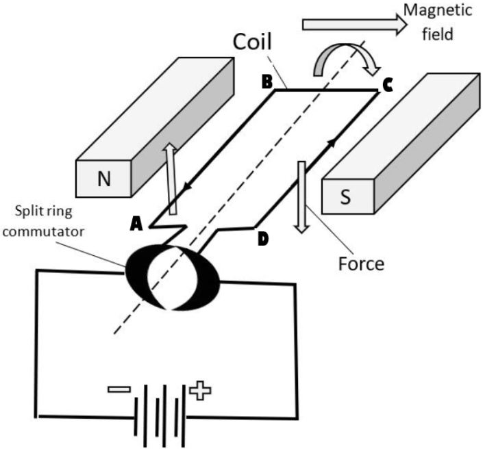 Describe the working of an electric motor and generator.