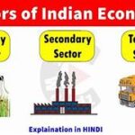 Distinguish Between Primary and Secondary Sectors ? ( CLASS 10)