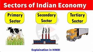 Distinguish Between Primary and Secondary Sectors ? ( CLASS 10)